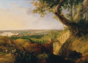 Ansicht der Haupt- und Residenzstadt Wien vom Standpunkte bey Nussdorf von Josef Fischer