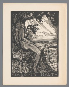 Ex libris von Jaromír Malý