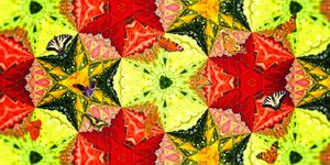 Kreaturen: Schmetterlinge im Rosengarten von Josef Johann Michel