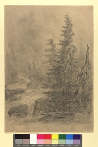 Gebirgsbach mit Nadelbäumen von Josef Kriehuber