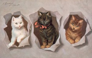 Katzenpostkarte von Josef Sperlich
