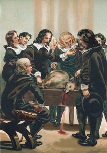 William Harvey demonstriert den Blutkreislauf von Josep or Jose Planella Coromina