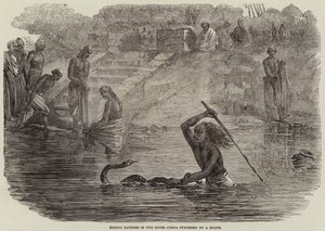 Hindoo-Bader im Fluss Jumna von einer Schlange überrascht