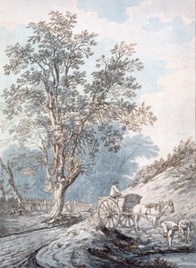 Karren und Pferd