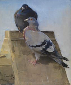 Tauben auf dem Dach von Joseph Crawhall