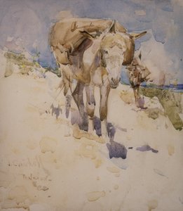 Tanger von Joseph Crawhall