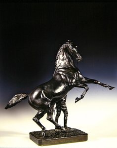 Das steigende Vollblut und der Stallbursche