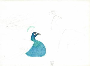 Pfau nach rechts blickend, 14.VI.1900, 1900 von Joseph Edward Southall