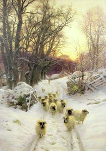 Die Sonne hatte den Wintertag geschlossen