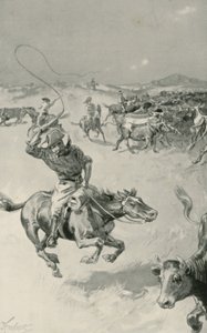 Viehtrieb in Queensland von Joseph Finnemore