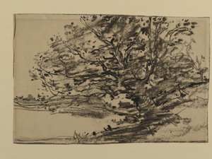 Studie von Bäumen, 1870 von Joseph Frank Currier