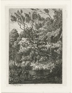 Waldansicht von Joseph Hartogensis