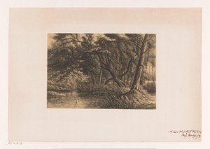 Waldlandschaft mit Teich von Joseph Hartogensis