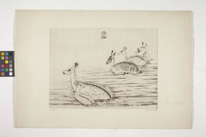 Indochinesische Hirsche I von Joseph Hecht