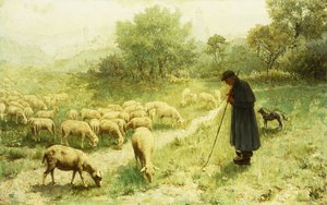 Schäfer
