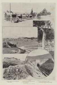 Skizzen in Natal von Joseph Holland Tringham
