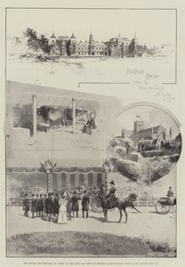 Der Prinz und die Prinzessin von Wales auf der Bath and West of England Agricultural Show in St Albans, 29. Mai von Joseph Holland Tringham