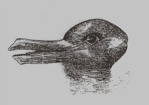 Ente-Kaninchen-Illusion. Aus: Jastrow, J. Das Auge des Geistes. Popular Science Monthly, 1899