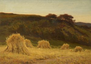 Das Kornfeld