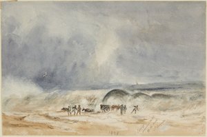 Abtransport ertrunkener Rinder vom Strand, St. Leonards von Joseph Mallord William Turner