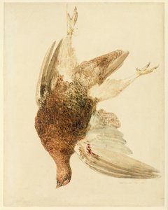 Birkhuhn, aus The Farnley Book of Birds, ca. 1816