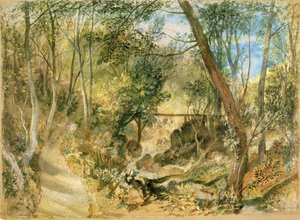 Der Waldweg, Farnley Hall von Joseph Mallord William Turner