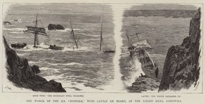Das Wrack der SS Suffolk mit Rindern an Bord am Lizard Head, Cornwall von Joseph Nash