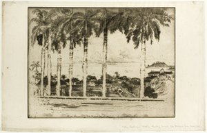 Bishops Walk, Ancon Hill, Panama