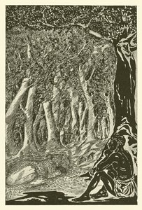 Der Leopard und der Äthiopier von Joseph Rudyard (after) Kipling
