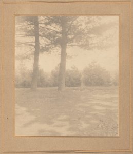 Landschaft mit Bäumen von Joseph T. Keiley