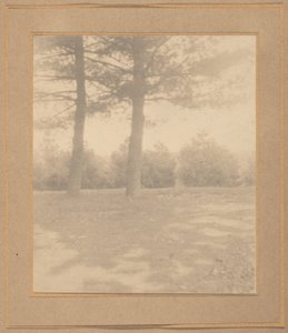 Landschaft mit Bäumen, ca. 1900 von Joseph T. Keiley