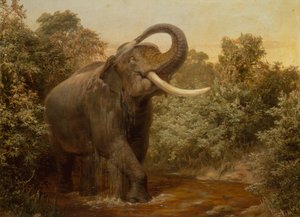 Das Monster-Tusker von Joseph Wolf