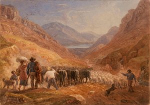 Hirten treiben Rinder und Schafe durch den Tal-y-Llyn-Pass in Wales von Joshua Cristall