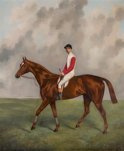 Sir Hugo-Gewinner des Derbys 1892, ca. 1892 von Joshua Dighton