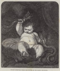 Der kleine Herkules von Joshua Reynolds