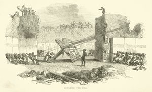 Das Herablassen des Stiers von Josiah Wood Whymper