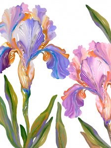 Bunte Irisblüten
