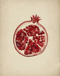 Saftiger roter Granatapfel von Josie George