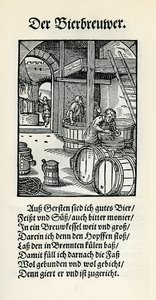 Brauer