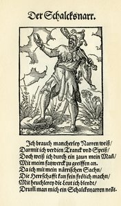 Scherzkeks / Narr