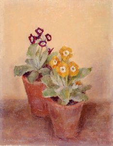 Ein Paar Mohnblumen von Joyce Haddon