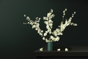 Frische Frühlingsblüten