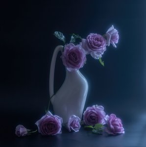  von Judy Tseng