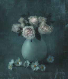 Träumende Pastellrosen von Judy Tseng