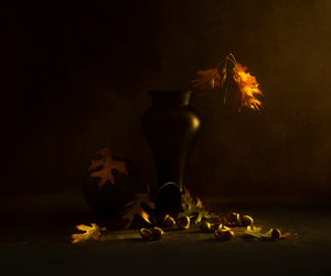 Goldene Herbst-Eicheln