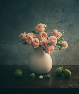 Rosa Rosen Stillleben von Judy Tseng