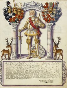 Karl I. Hohenzollern von Jörg Ziegler
