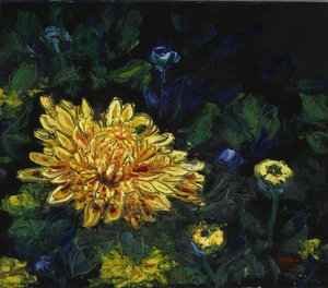 Goldene Chrysanthemenblüte von Jukyong Park