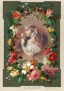 Der Geruch, Frau riecht an einer Blume in einem Dekor aus Rosen, Lilien und Tulpen