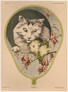 Fächer, Tafel 43 aus 